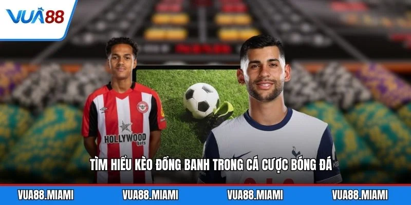 Tìm hiểu kèo đồng banh trong cá cược bóng đá